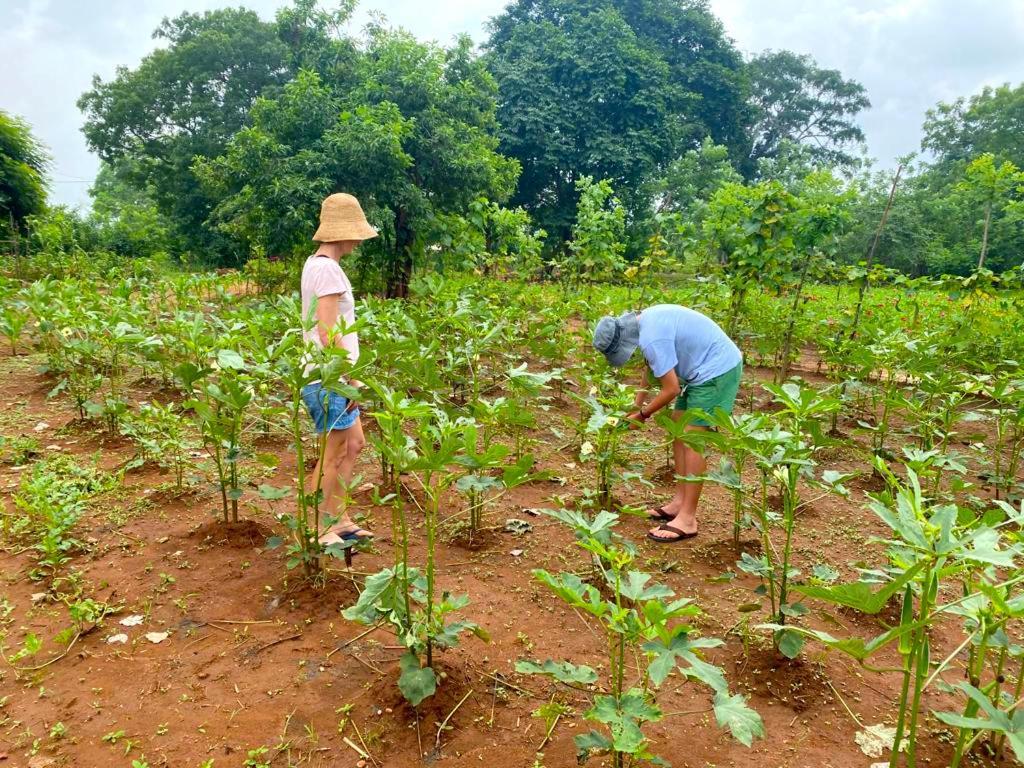 Moni Farm House Wilpattu Nochchiyagama Kültér fotó